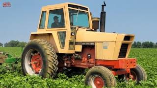 Case 1070 Agri King Tractor Row Crop Cultivating Green Beans