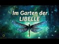 Lässt alle Wünsche wahr werden (Libellen-Energie)