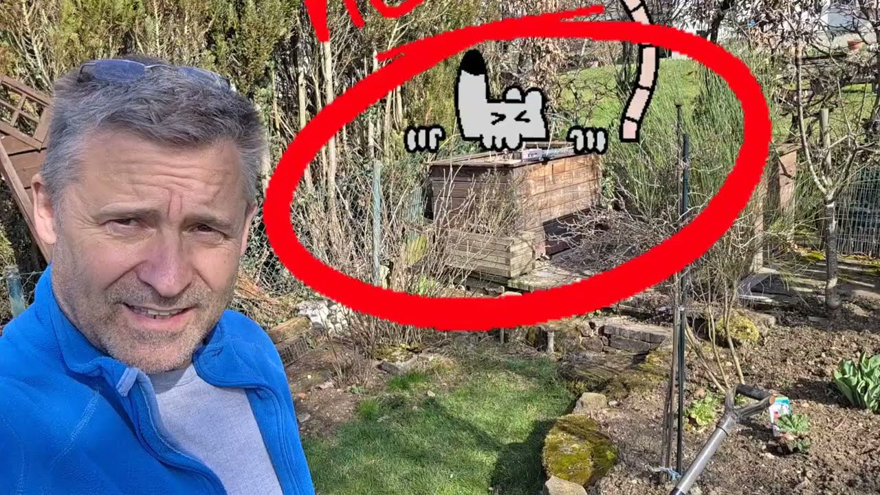 🐀 Ratten im Hochbeet mit der Wildkamera erfasst im Garten