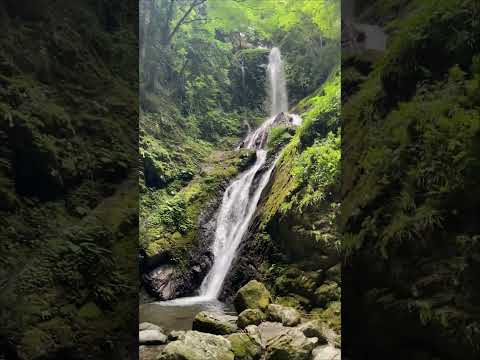Amagoi Falls in Kamiyama Town | 神山町の雨乞の滝  #mountainscenery #waterfall #神山町 #mountaintrails