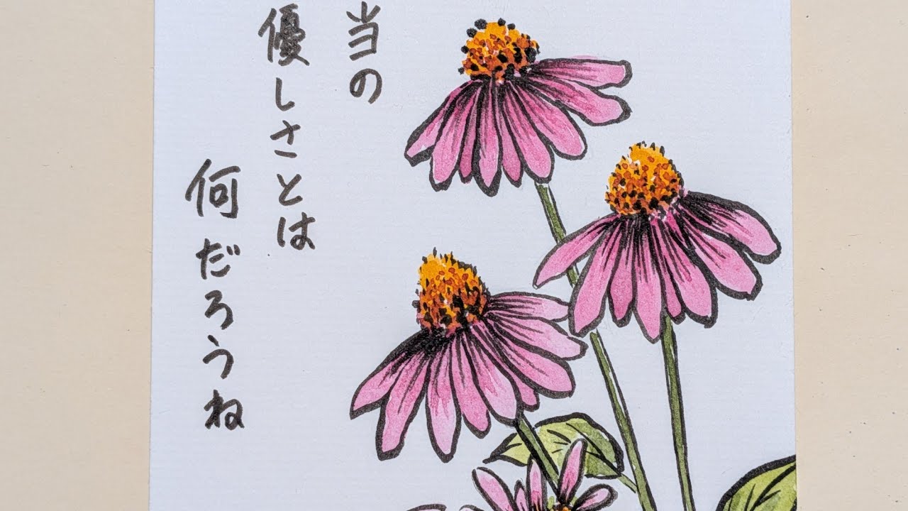 趣味の絵手紙 お花 ムラサキバレンギク - YouTube