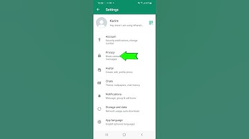 How to Turn off Blue Ticks in WhatsApp