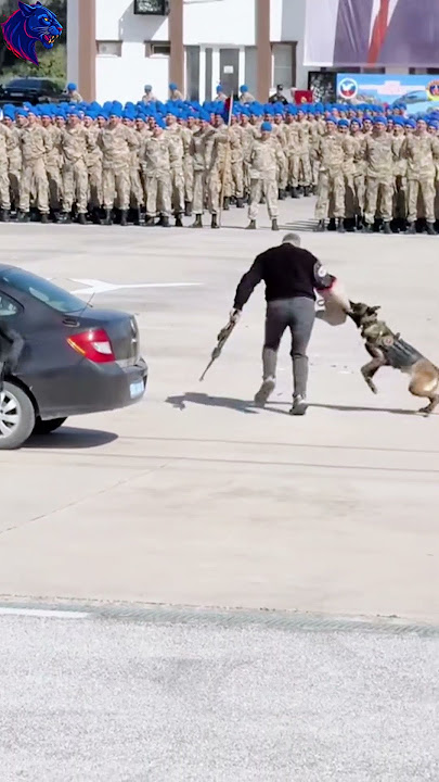 Dog squad — where loyalty meets courage. #chemforsk