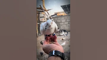 بهاء الجنايده رف الحمام 2025 حصريا 0791424547 