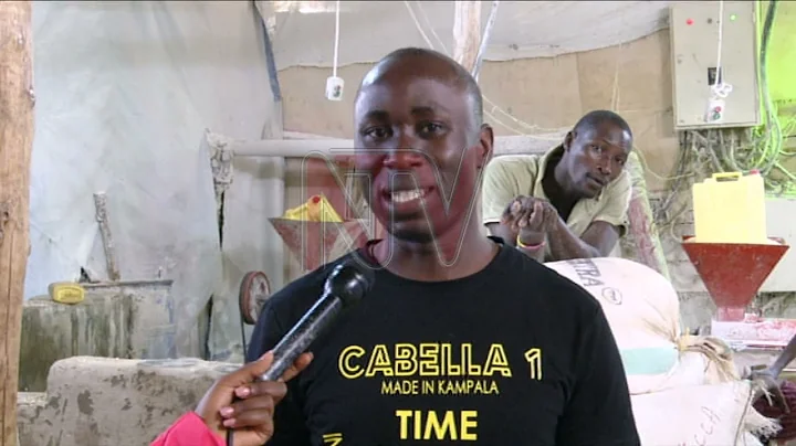 Price surge will put us out of business - maize millers