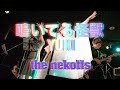 YUKI/鳴いてる怪獣(cover.) the nekotts