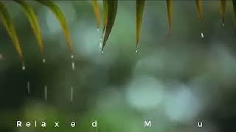 3 Giờ Nhạc Êm Dịu với Tiếng Mưa Rơi - Nhạc Piano, Nhạc Ru Ngủ, Nhạc Nền Du Dương