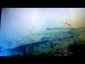 Неведанное существо на дне речки Склюихи, губина 2 метра