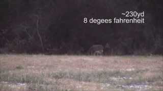 Tikka T3 300WM Review  Woodchuck/Deer Hunting