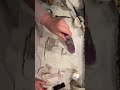Rustic Easter Bunny Makeover