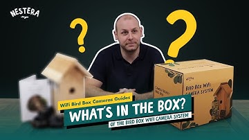 WiFi Bird Box Camera System | What