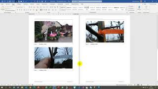 Word Vorlage Fotodokumentation mit Platzhalter-Tabelle. Fotos automatisch zugeschnitten