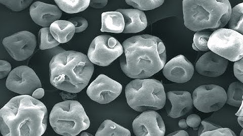 Masterclass  High resolution particle size analysis using Differential Centrifugal Sedimentation DCS