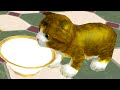 Приключение Странного КОТА #1 Кид накормил котика молоком в Virtual cat home Pet Adventure пурумчата