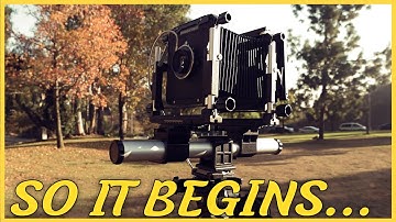 First Time Shooting Large Format Film Portraits