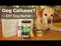 DIY Dog Butter For Calluses