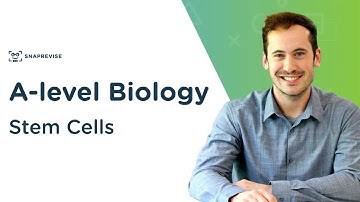 Stem Cells | A-level Biology | OCR, AQA, Edexcel