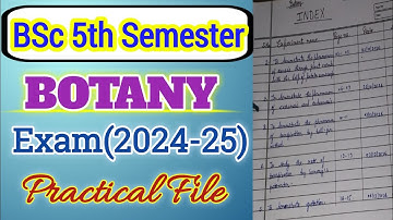 BSc 5th Semester Botany Practical File | Exam 2024-25 | For All University