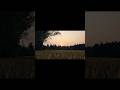 ഒരു വൈകുന്നേര കാഴ്ച്ച..#shorts #viralshorts #evening #sunset #natural