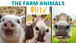 The farm animals : quiz