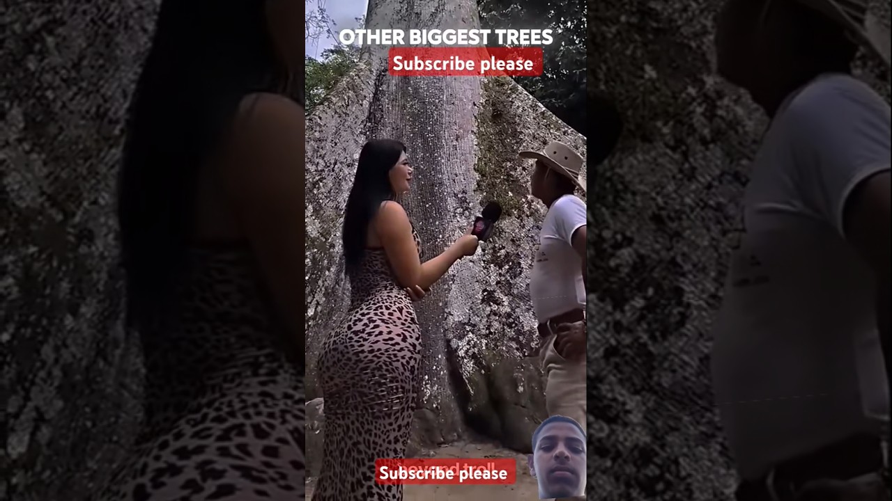 Other Biggest Trees VS This One☠️🌳