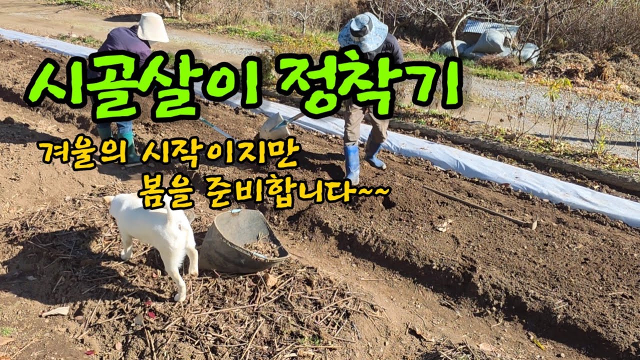 겨울속 봄준비ㅣ콩선별 ㅣ유기물 모으기 ㅣ텃밭,꽃밭자리 다듬기ㅣ꽃씨 겨울파종 ㅣ집주변에 꽃씨뿌리고 심기