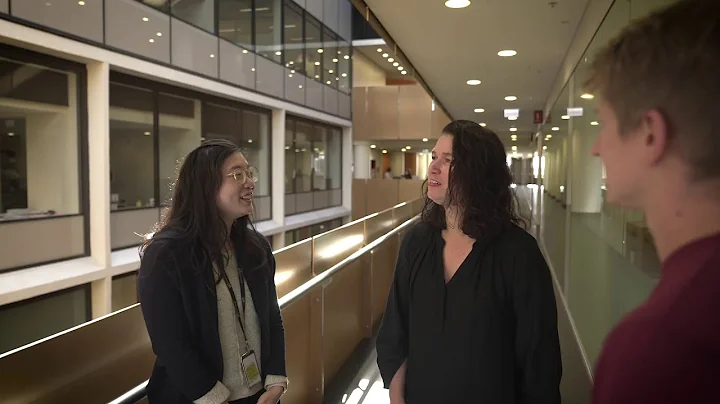 What is AMR? Antimicrobial resistance explained