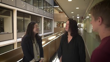 What is AMR? Antimicrobial resistance explained