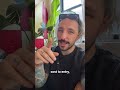 Would You Start a Street Vending Business?