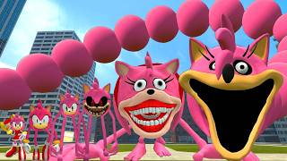 NEW EVOLUTION OF ROBLOX HUNGRY SONIC AMY ROSE WORM & INNYUME SMILEY'S VS SHIN SONIC TAPES in Gmod!