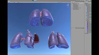 lungs animation disecciont breath