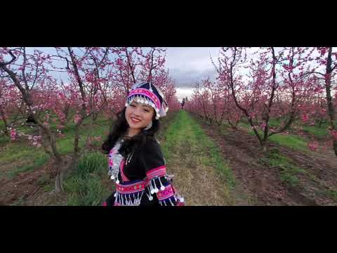 Blossom Field Shoot Bloopers 