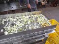 振動ふるい機