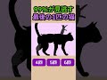 本当に猫が6匹見えるって？ #観察力 #テスト