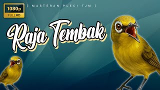   Masteran Pleci Nembak Terbaru Raja Tembak 