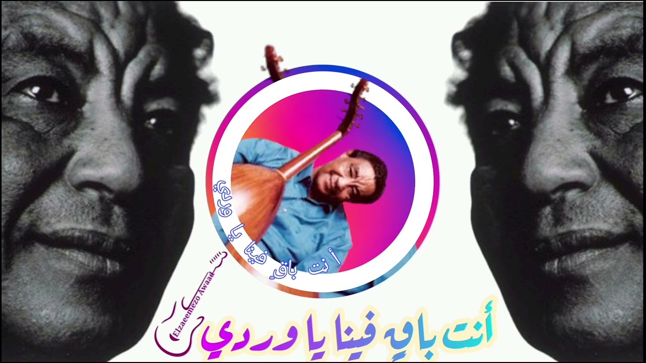 الأستاذ محمد وردي سواة العاصفة حفل قاعة الصداقة 