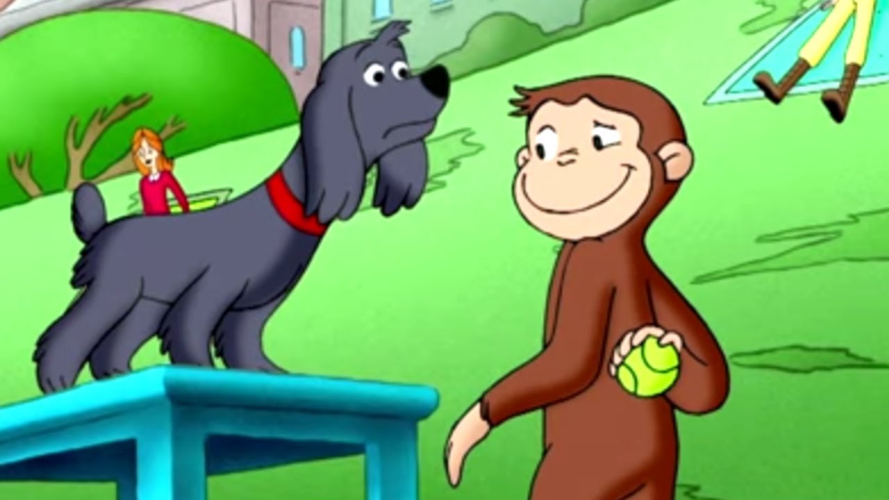 ⁣Nicke Nyfiken 🐵 Charlie går i Skolan 🐵 Tecknad Film för Barn 🐵 Helt Avsnitt