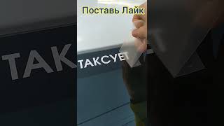 #одессамама #одесса #таксоблогер