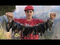 Bass And Bluegill Fishing: Kids Catch Over 50 Fish In A Few Hours