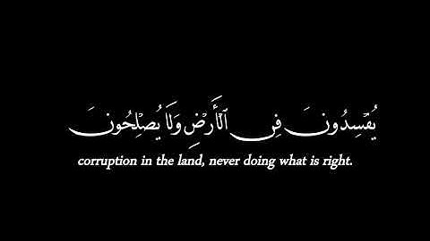 وكان في المدينة تسعة رهط يفسدون ولا يصلحون ✒️ كروما شاشة سوداء قران كريم #كروما_قرآن #كرومات_قرآن 