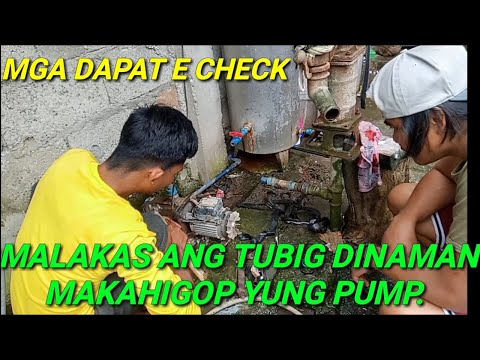 Video: Paano umaakyat ang tubig sa puno?