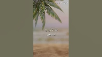 سورة التكوير من آية 18 إلى آية 23 بصوت الشيخ ياسر الدوسري❤❤