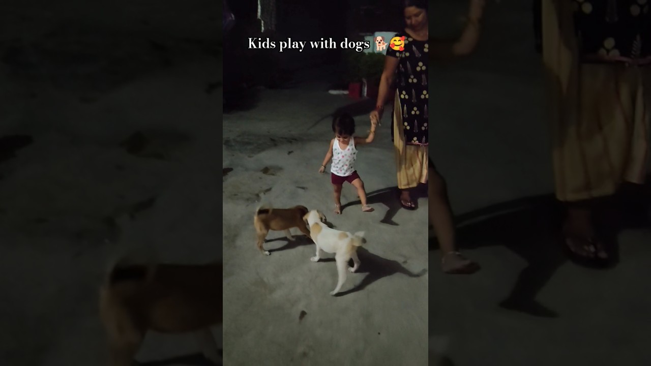 dogs play with kids 🐕🥰❤️ 