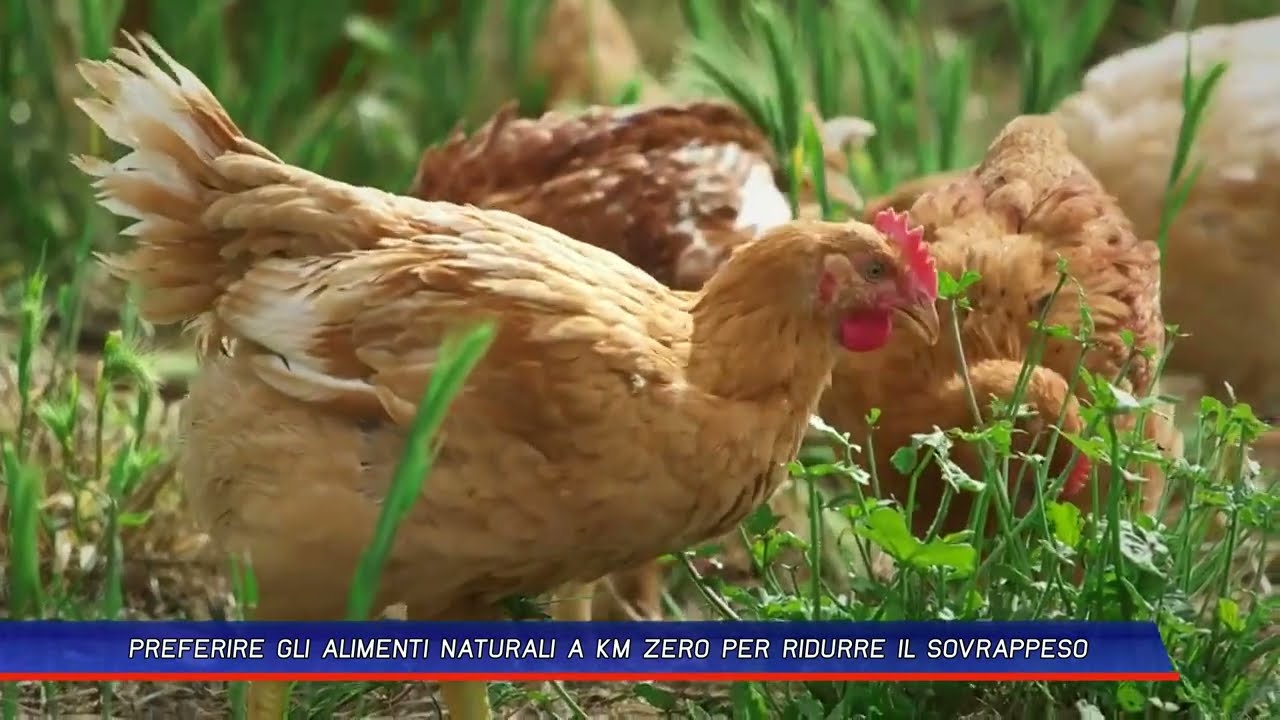 PREFERIRE GLI ALIMENTI NATURALI A KM ZERO PER RIDURRE IL SOVRAPPESO
