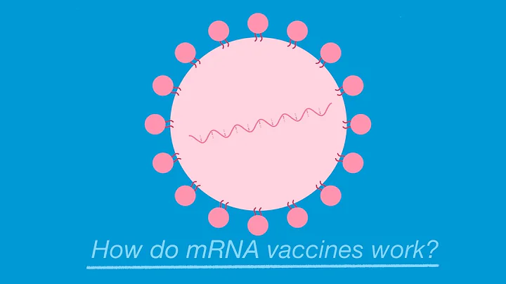 How do the new mRNA vaccines for COVID-19 work? - DayDayNews