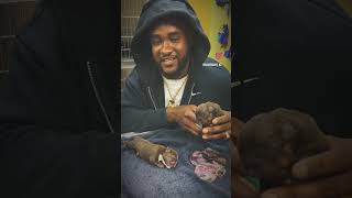 First Ever 2X 187 Pups Are Here