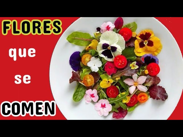 20 Flores Comestibles Perfectas Para Tu Jardín - Sembrar100