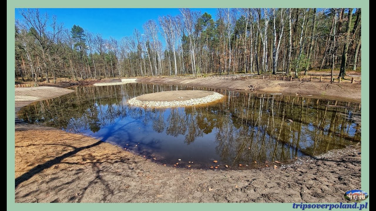 Mazowiecki Park Krajobrazowy'2021 - Czarny Staw, Zielony Ług, Macierowe Bagno (4K/UHD)