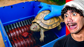 Reagindo A Trituradora Vs Objetos Da Vida Real