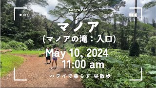 [作業用] ハワイで暮らす　マノア(マノアの滝：入口)　昼散歩　May 10, 2024 11:00 am